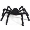 Spider-Fluffy spider 50cm