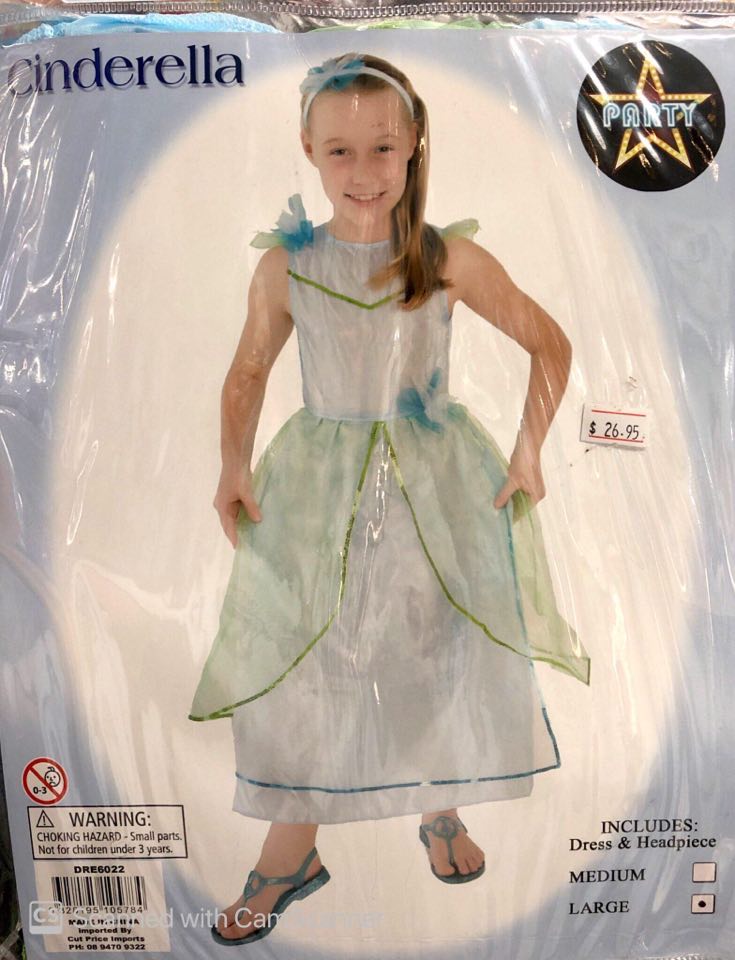Costume - Cinderella (Child)