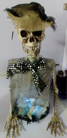 Prop - Mrs Skeleton Torso on Base 50cm