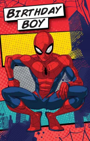 Birthday Card - Spiderman Birthday Boy
