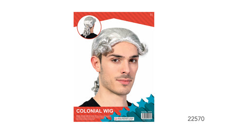 Wig - Colonial Judge White