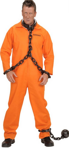 Costume - County Jail Inmate (Adult)