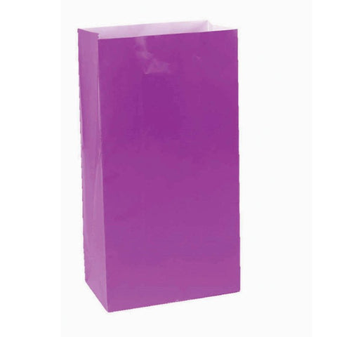 Loot Bags - Paper Treat Bags New Purple