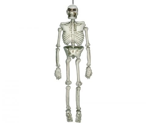 Skeleton - Life Size Hanging Skeleton Decoration Plastic