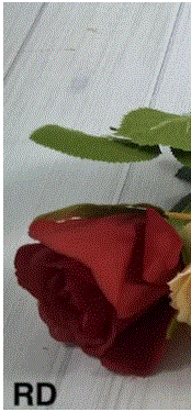 Bouquet Rose Stem - Burgundy