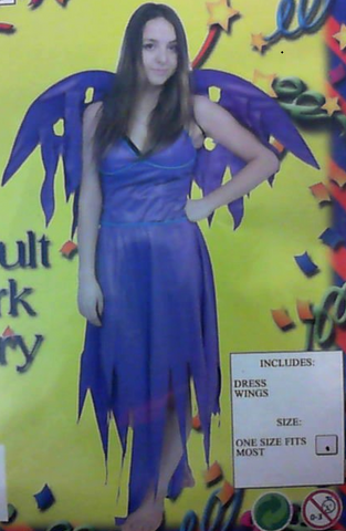 Costume - Dark Fairy (Adult)