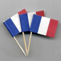 Toothpicks - Cocktail Flag France Pk 20