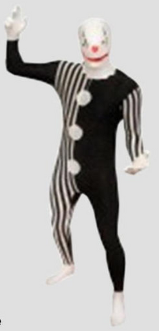Costume - Crazy Clown Invisible Suit (Adult)