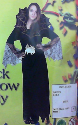 Costume - Black Widow Lady (Adult)