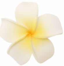 Hair Clip - Hawaiian Flower (White and Yellow)