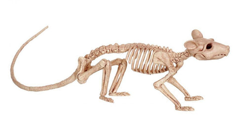 Skeleton Rat 45cm