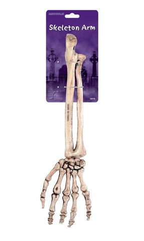 Skeleton Arm 38cm