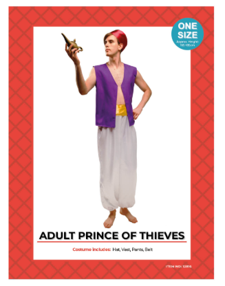 Costume - Adult Prince Of Thieves