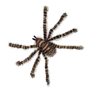 Furry Spider - Striped Furry Spider