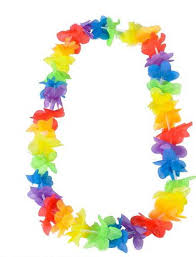 Hawaiian Lei - Rainbow colour