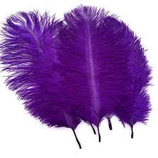 Feathers - Pack Of 12