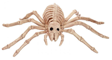 Skeleton Spider 24cm