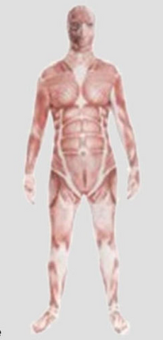 Costume - Muscle Man Invisible Suit (Adult)