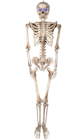Prop - Craig the Skeleton Animated 155cm