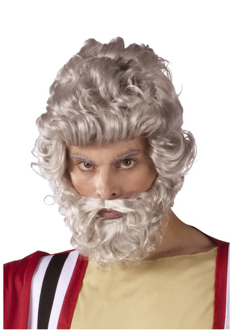 Wig - Moses with Beard (Grey)