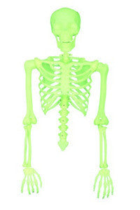 Hanging GITD Skeleton Torso