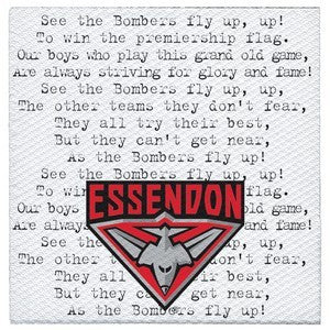 Lunch Napkins - AFL Essendon Bombers Pk 20 2PLY