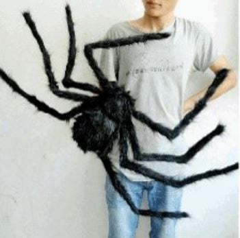 Spider - Giant Spider 150cm